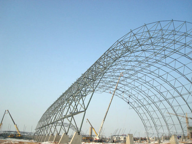 晨鳴集團(tuán)電廠儲(chǔ)煤棚.jpg